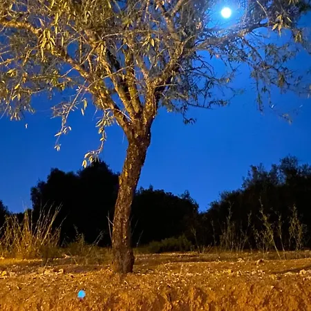 Casa Dos Montes Σπίτι διακοπών *