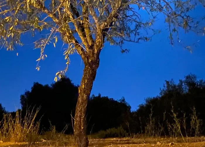 Casa Dos Montes 펜션 *